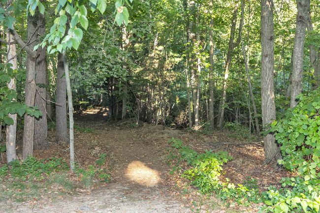 19 Scotchpine Ln, House other with 4 bedrooms, 3 bathrooms and null parking in Merrimack NH | Image 38