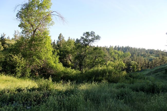 SC-25 - TBD Lone Rock Canyon Lane, Home with 0 bedrooms, 0 bathrooms and null parking in Hysham MT | Image 49