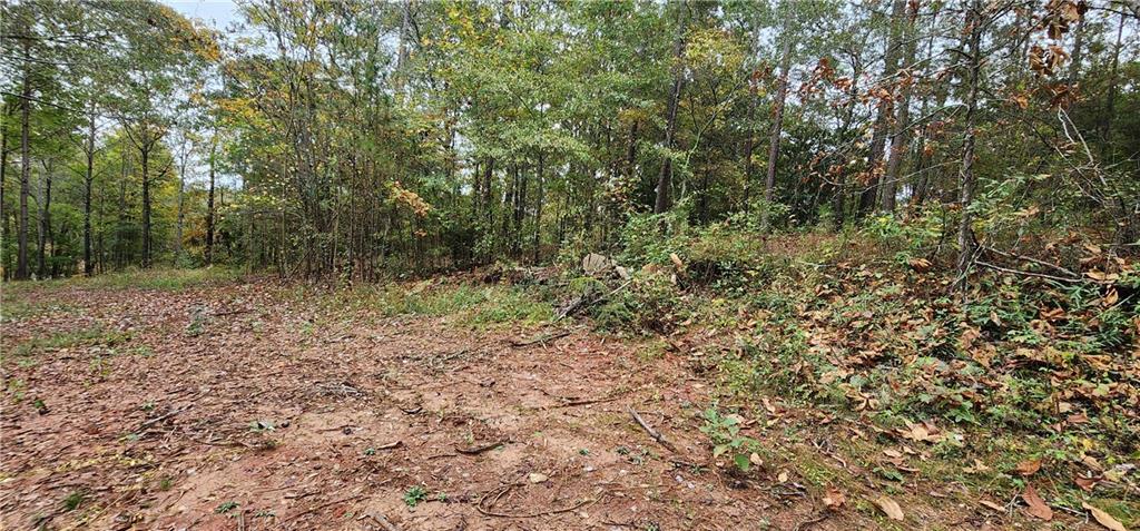 Land in Monticello 5