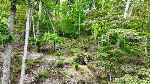 1 Ridge Top Rd, Stewart, TN, 37175 | Card Image