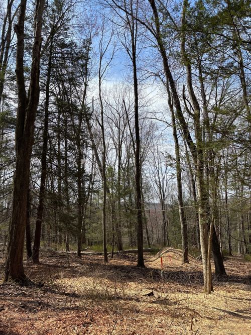 Lot 00 Chalybes Rd W, Roxbury, CT, 06783 | Card Image