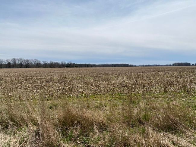 4500 S 42 Nd St, Home with 0 bedrooms, 0 bathrooms and null parking in Climax MI | Image 19