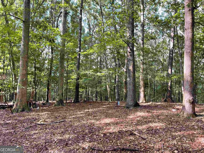 0 Peach Orchard Dr, Home with 0 bedrooms, 0 bathrooms and null parking in Alto GA | Image 19