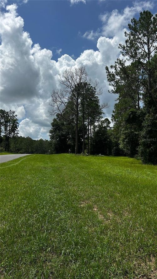 35001 Pinegate Trl, EUSTIS, FL, 32736 | Card Image