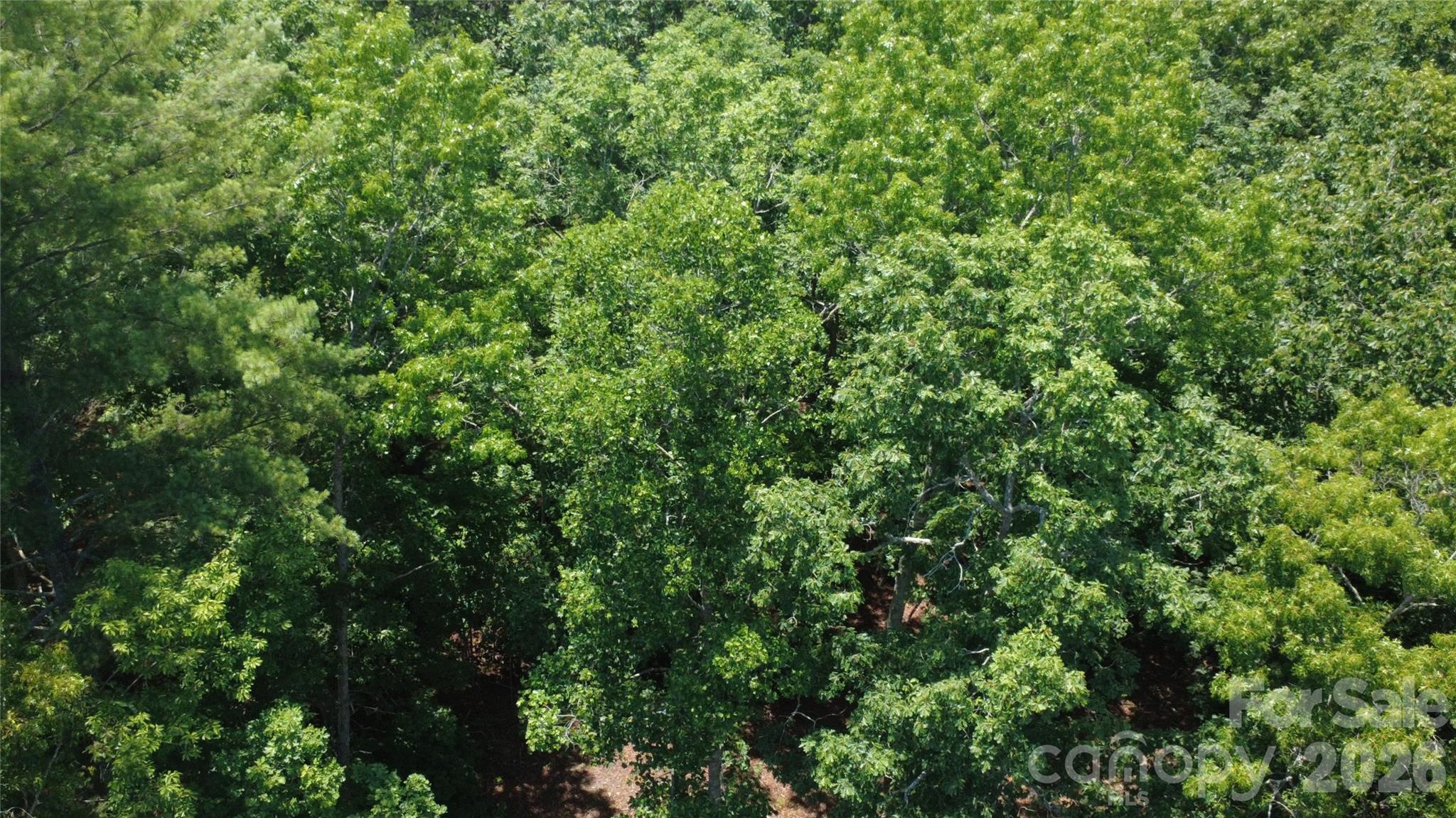 Land in Morganton 5