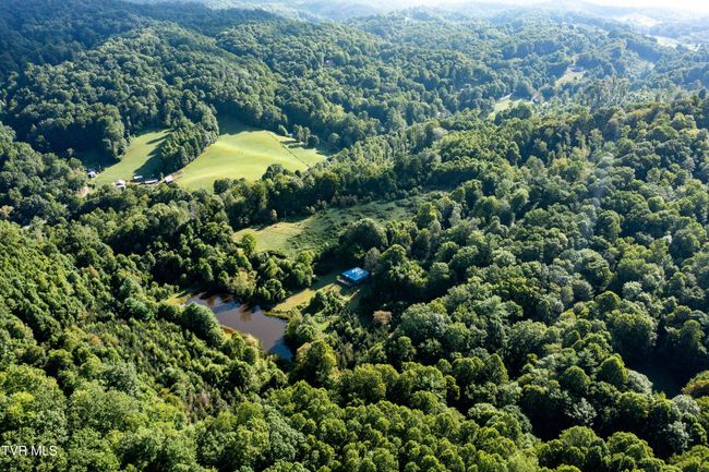 306 Bear Branch Rd, Home with 0 bedrooms, 0 bathrooms and null parking in Roan Mountain TN | Image 21
