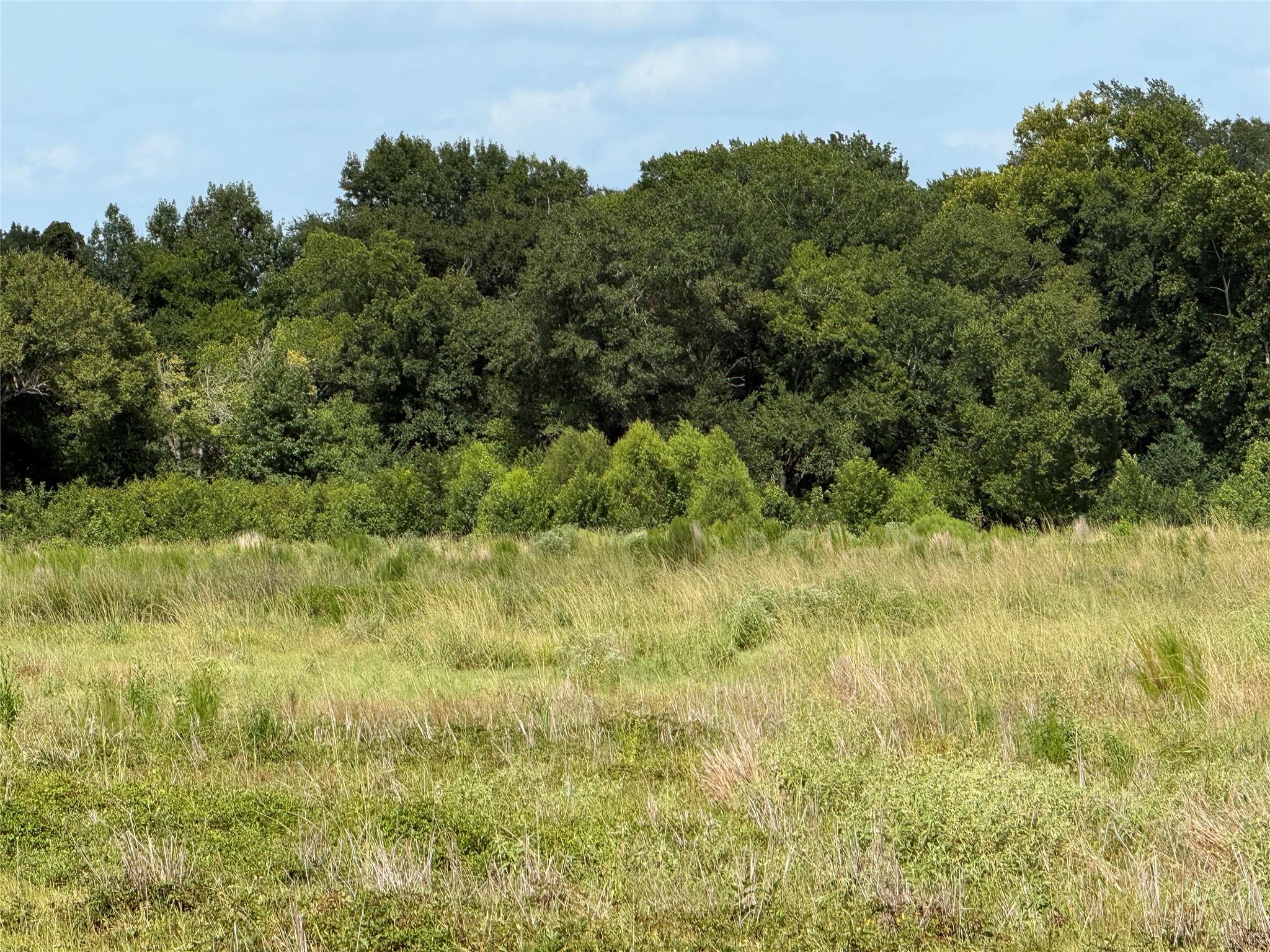 Land in Crockett 3