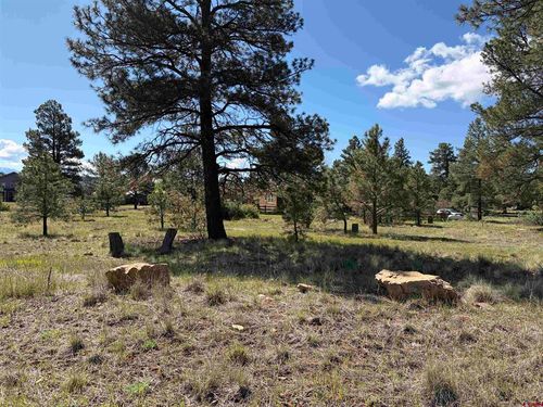 1052 Trails Blvd, Pagosa Springs, CO, 81147-8671 | Card Image
