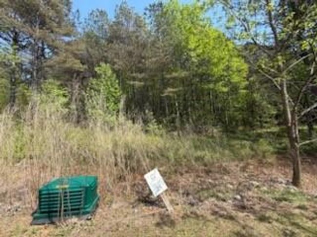 0 Eastside Dr, Home with 0 bedrooms, 0 bathrooms and null parking in Ellijay GA | Image 8