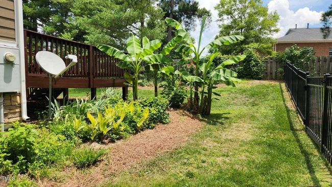 Back Yard | Image 6