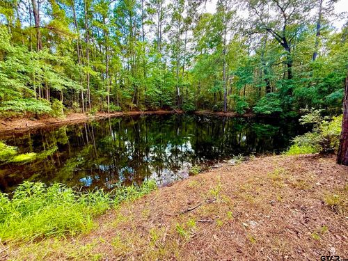 TBD County Road 4740, Kennard, TX, 75847 | Card Image