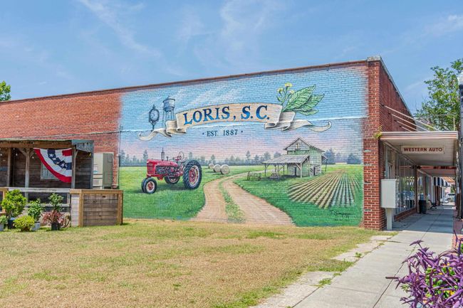 5375 Long Branch Swamp Rd, Home with 0 bedrooms, 0 bathrooms and null parking in Nichols SC | Image 7