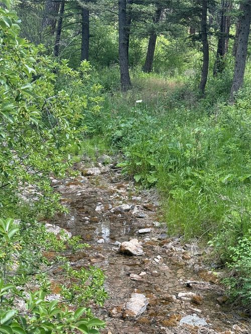 NHN Little Wolf Creek Rd, Wolf Creek, MT, 59648 | Card Image