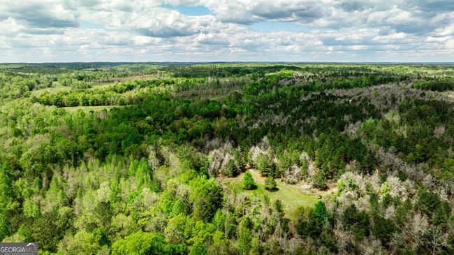 0 Kemp Rd, Home with 0 bedrooms, 0 bathrooms and null parking in Buena Vista GA | Image 23