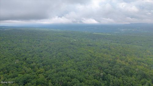 lot-2-181 Duanesburg Rd, Duanesburg, NY, 12056 | Card Image