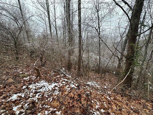 3988 Pinnacle View Dr, Hurricane, WV, 25526-7413 | Card Image