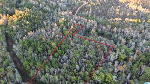 0-0 Coosa County Road 141, Goodwater, AL, 35072 | Card Image