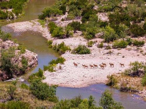 4200 County Road 411, Ozona, TX, 76943-2618 | Card Image