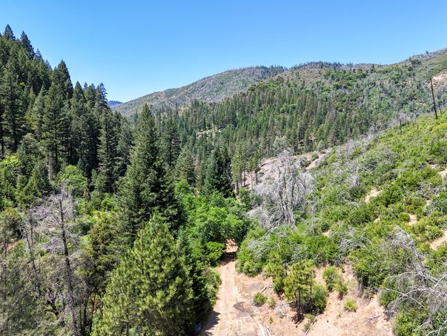 0000 E Fork Rd, Home with 0 bedrooms, 0 bathrooms and null parking in French Gulch CA | Image 60