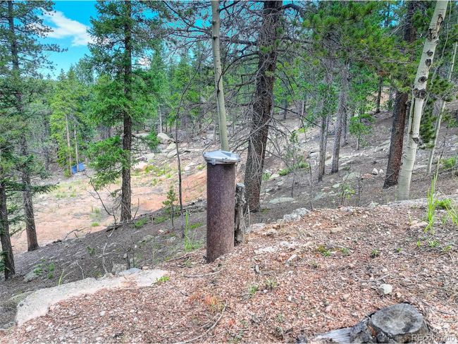 11275 Bear Run Trl, Home with 0 bedrooms, 0 bathrooms and null parking in Conifer CO | Image 19