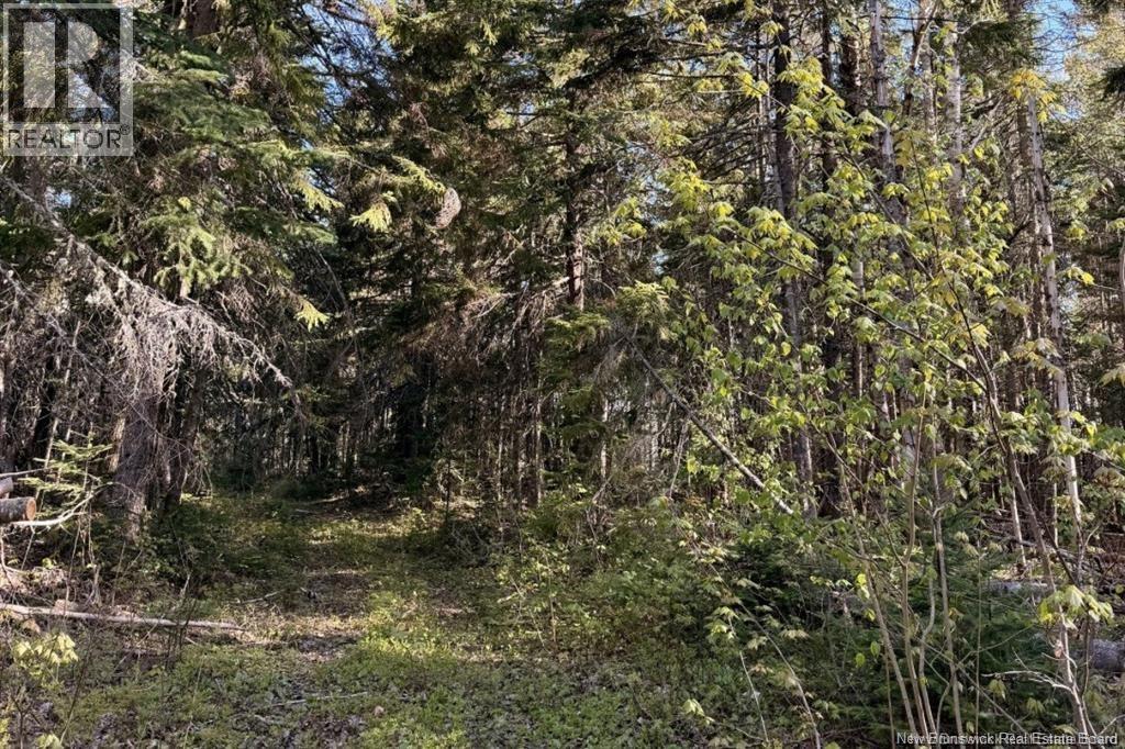 Land in Portage Vale 3