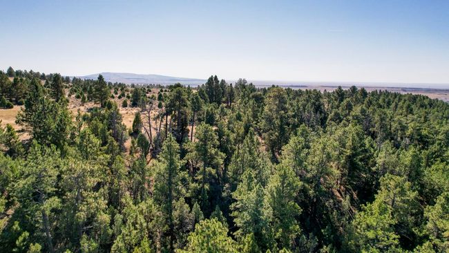 Lot 4 Sunset Ridge Road, Home with 0 bedrooms, 0 bathrooms and null parking in Newcastle WY | Image 17