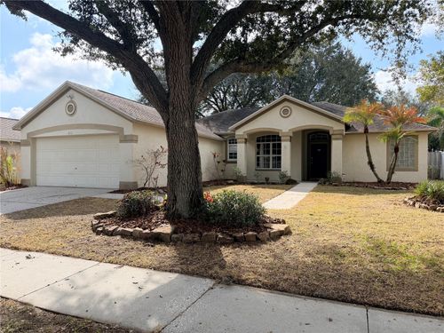 4111 Amber Ridge Ln, VALRICO, FL, 33594-4337 | Card Image