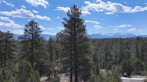 141 Big Canyon Pt, Ridgway, CO, 81432-8417 | Card Image