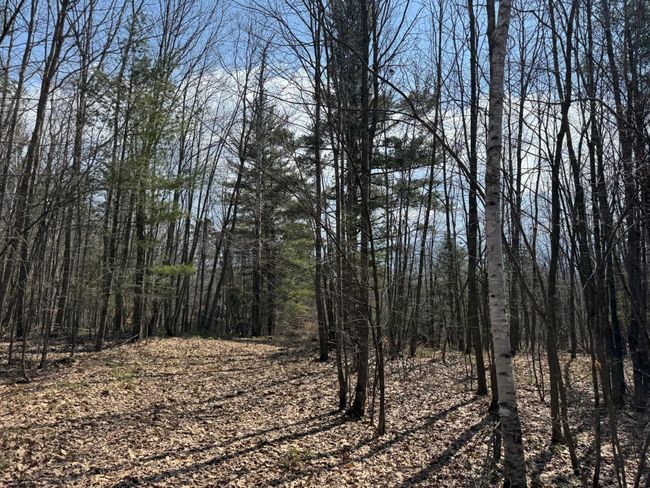 46128 Starch Rd, House other with 3 bedrooms, 1 bathrooms and null parking in Bruno MN | Image 6