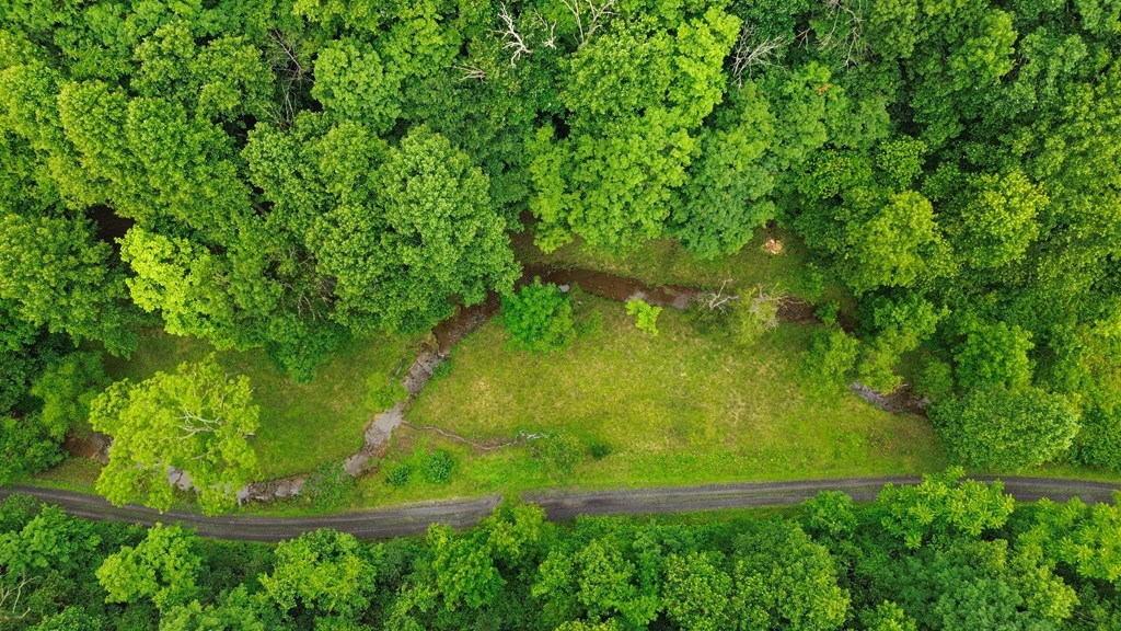 Land in Honaker 4