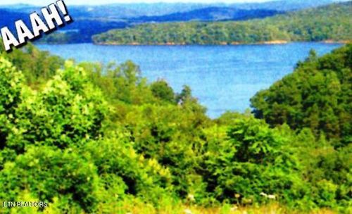 Lot 406 Flint Ridge Rd, Rockwood, TN, 37854 | Card Image