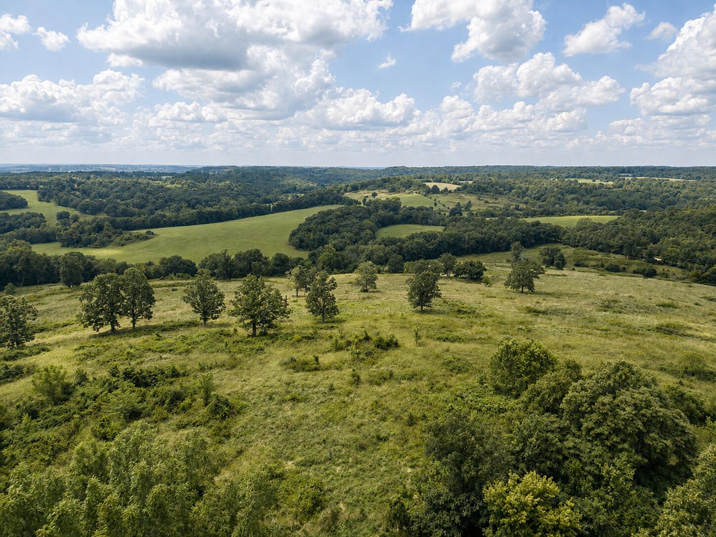 Land in Hartville 4