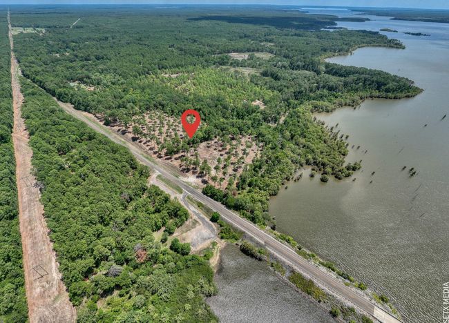13 Fm 83, Home with 0 bedrooms, 0 bathrooms and null parking in Broaddus TX | Image 6