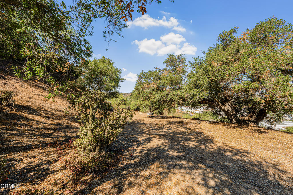 Land in Newbury Park 4