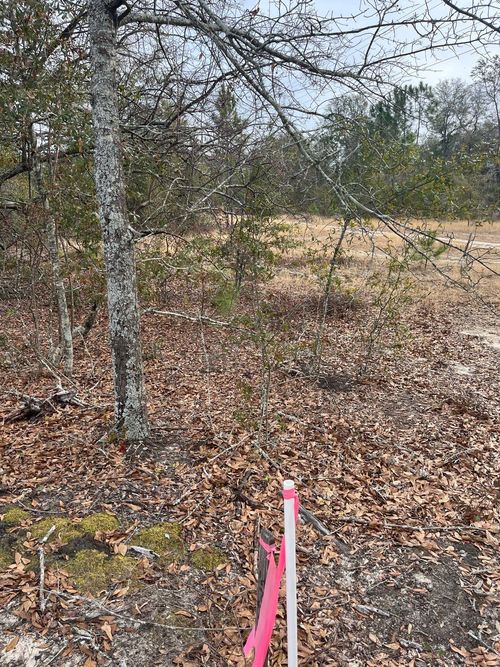 whl-7-Whl 7 Rainbow Drive, Salley, SC, 29137 | Card Image