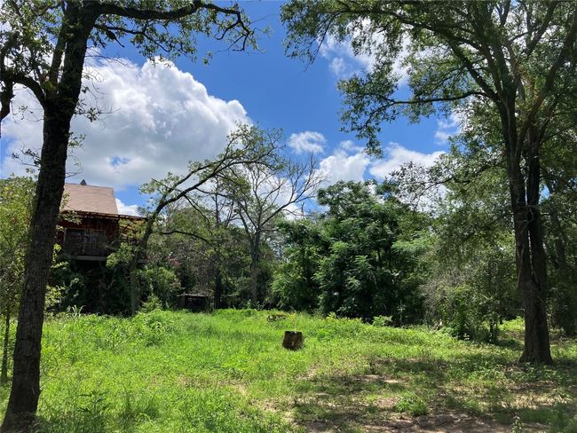 A-Frame House in need of repair or removal. Property is secluded with mature native trees. | Image 18