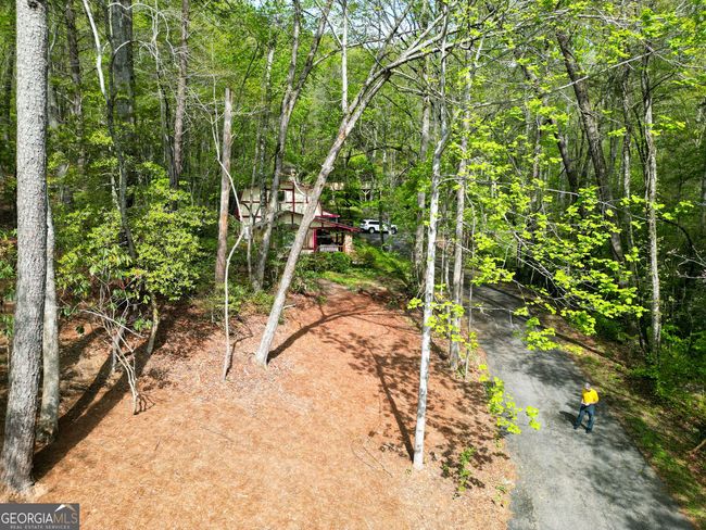 63 Eagle Chase Cir, House other with 3 bedrooms, 2 bathrooms and null parking in Dillard GA | Image 38