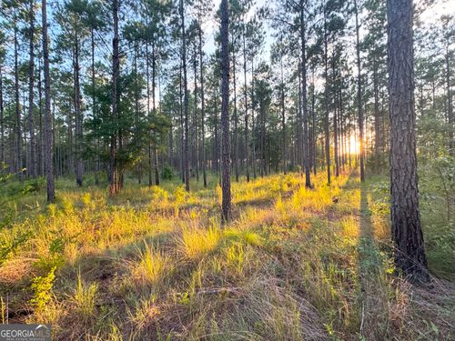 TBD Pelham Rd, Climax, GA, 39834 | Card Image