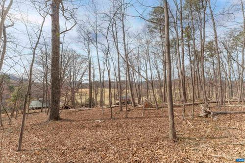 TBD Winsome Orchard Ln, NORTH GARDEN, VA, 22959 | Card Image