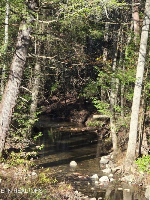 373 Georgee Rd, Jamestown, TN, 38556-5258 | Card Image