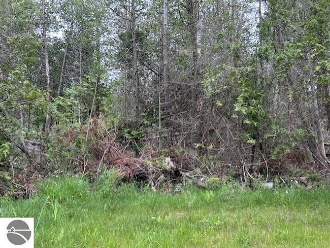 00 Pine Tree Trl, Home with 0 bedrooms, 0 bathrooms and null parking in Oscoda MI | Image 11