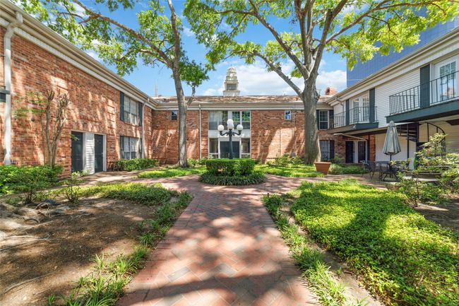 Beautiful Serine Courtyard | Image 19