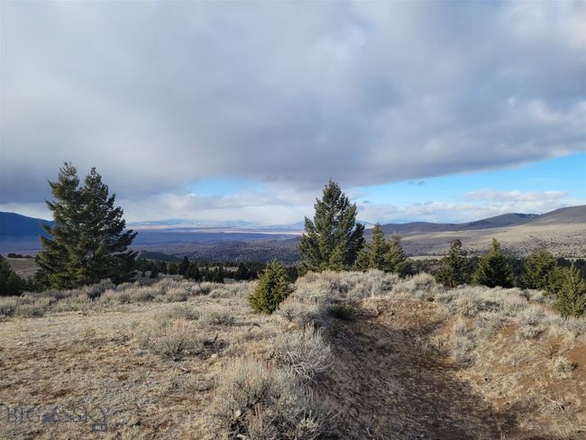 View from West side of Tract 4A | Image 9