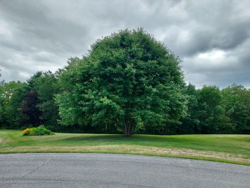 27 Emery Ave, Thomaston, ME, 04861-3157 | Card Image