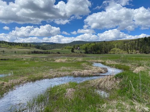 34-34 Chipmunk Ln, Freedom, WY, 83120 | Card Image