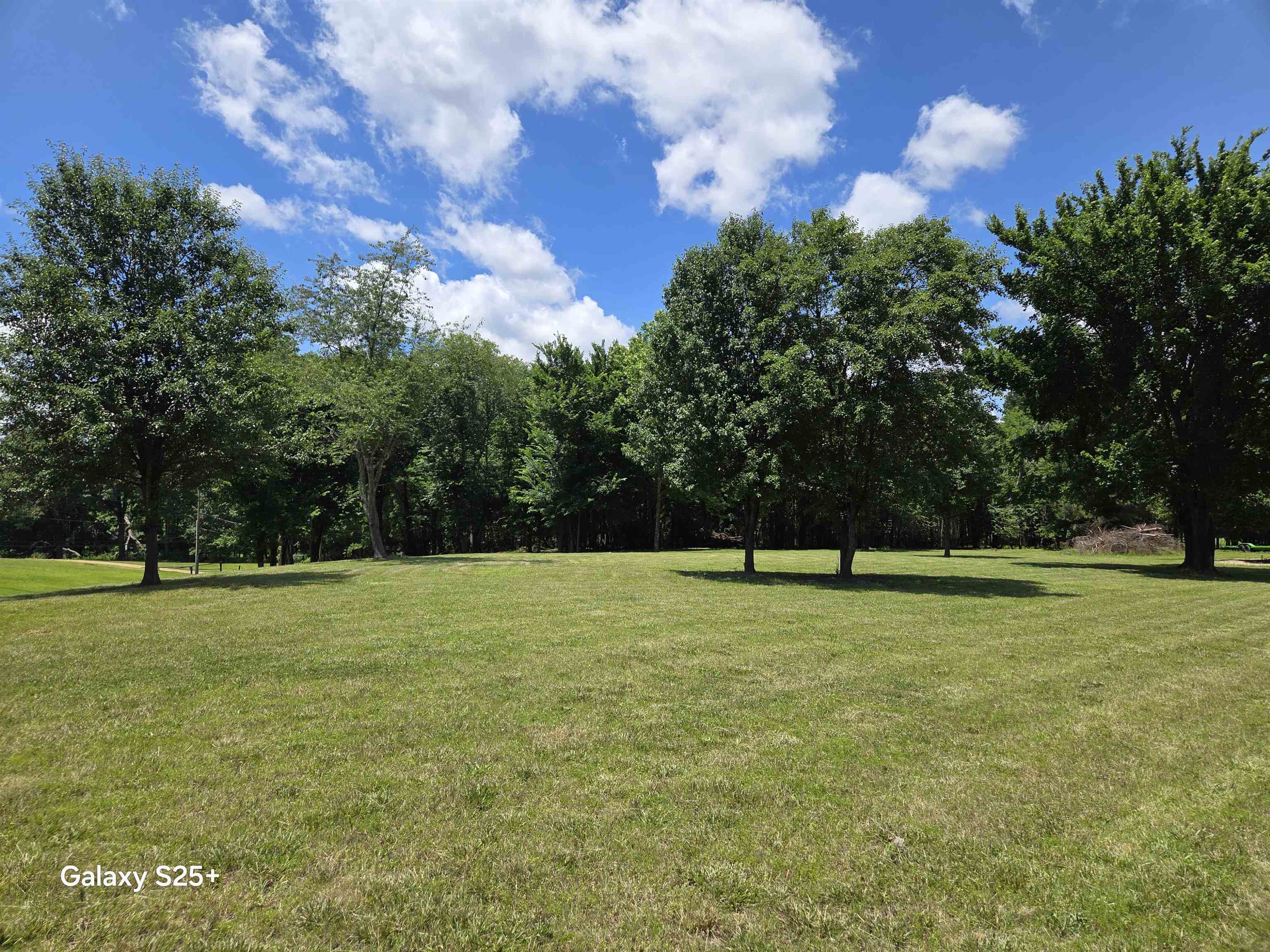 Land in Bartlett 5
