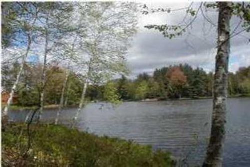 VL Lot 811 Miramichi Dr, Evart, MI, 49631 | Card Image
