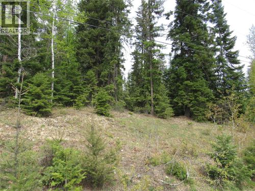 Lot 14 Nelson Rural 08182.140 Other, Bonnington Falls, BC, V0G2G3 | Card Image