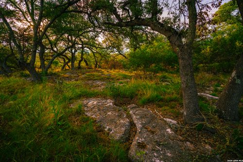 000 Rambling Oaks Ranch, Spring Branch, TX, 78070 | Card Image