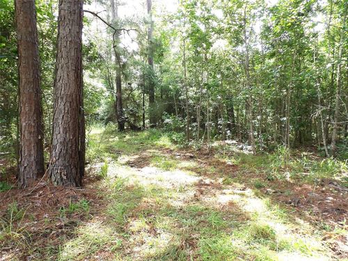TBD Fsr 536, Kennard, TX, 75847 | Card Image